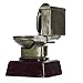 Decade Awards March Madness Gold Toilet Bowl Trophy - Basketball Busted Bracket Award - 6 Inch Tall - Customize Now
