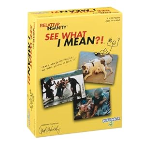 Relative Insanity See What I Mean – Hilarious Party Game – from Comedian Jeff Foxworthy – Ages 14+ – 4+ Players