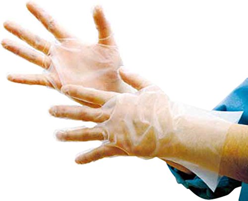 pbN G{X܌ܖ{iGRm~[ϔL 010281013100