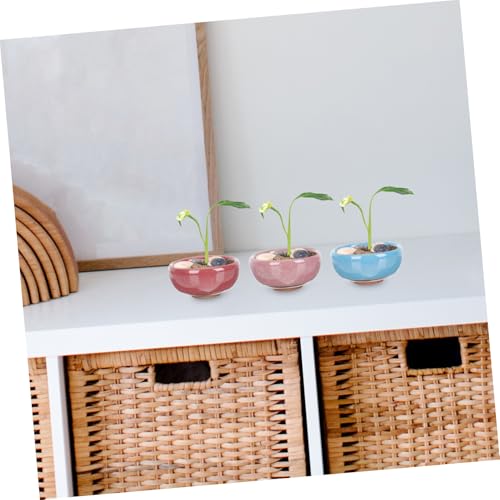 Pots de fleurs céramique compacts DOITOOL déco jardin et intérieur - 5