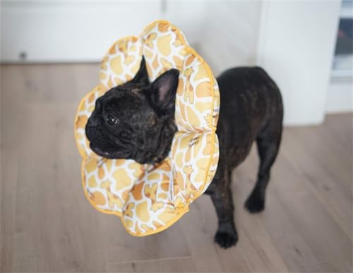 Junbseジュンブセ 犬猫用エリザベスカラー ソフトで傷の早期治療と術後傷の保護に (SM)