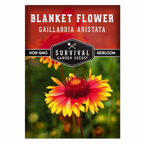 Blanket Flower Seeds for Planting - Perennial Gaillardia Aristata Firewheel