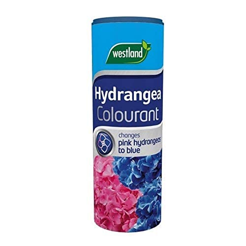 Westland Hydrangea Colourant 500 g