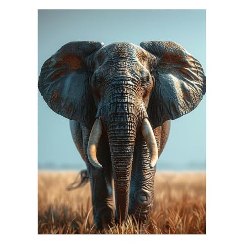 G  G |Lbg yCgoCio[  Lbg  ANG̋ M LoX 30 x 40 cm EH[A[g  LoXGpLrO[Q̉Ƃ̑ Ǐ Mtg JLYH-1998