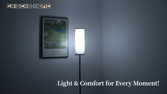 Image of FRIDEKO HOME Gray Floor Lamps for Bedroom, Dimmable Colors Temperature & Brightness, Plug in Modern Floor Lamps for Living Room, Tall Standing Lamps for Office, Corner Lamp, 9W RGB LED Bulb