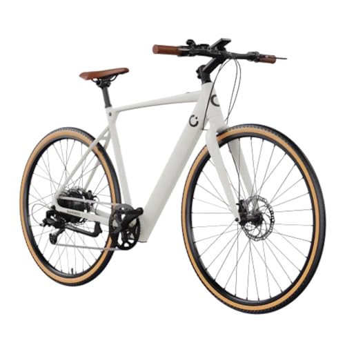 Cecotec Bicicleta Eléctrica de Ciudad Sprint, 250W, Ruedas de 28', 70Km de Autonomía, Batería 360 WH, Cambio de 8 Velocidades y Doble Disco de...