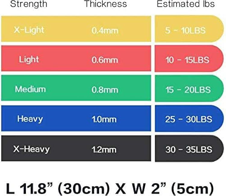 Resistance Loop Bands with Workout Poster 16.5¡±x 22.4¡±,Set of 5 Exercise Bands for Crossfit Workout and Physical Training