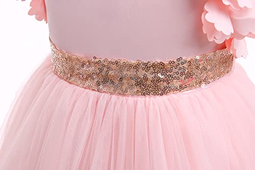 Weileenice Big/Little Girls Dress Butterfly Sleeve Ruffle Tulle Kids Princess Wedding Pageant Party Tutu Dresses4