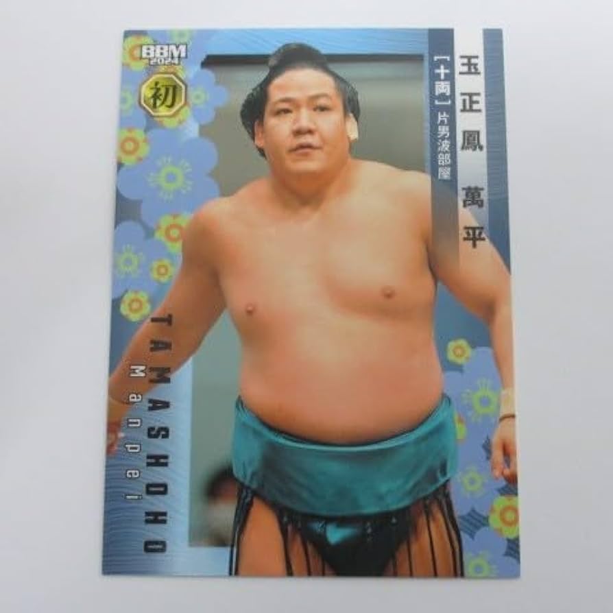 大相撲 カード BBM 2024 1BOX 新品 新品】希少！BBM2024大相撲カードシュリンク付1BOX