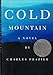 Cold Mountain: A Novel