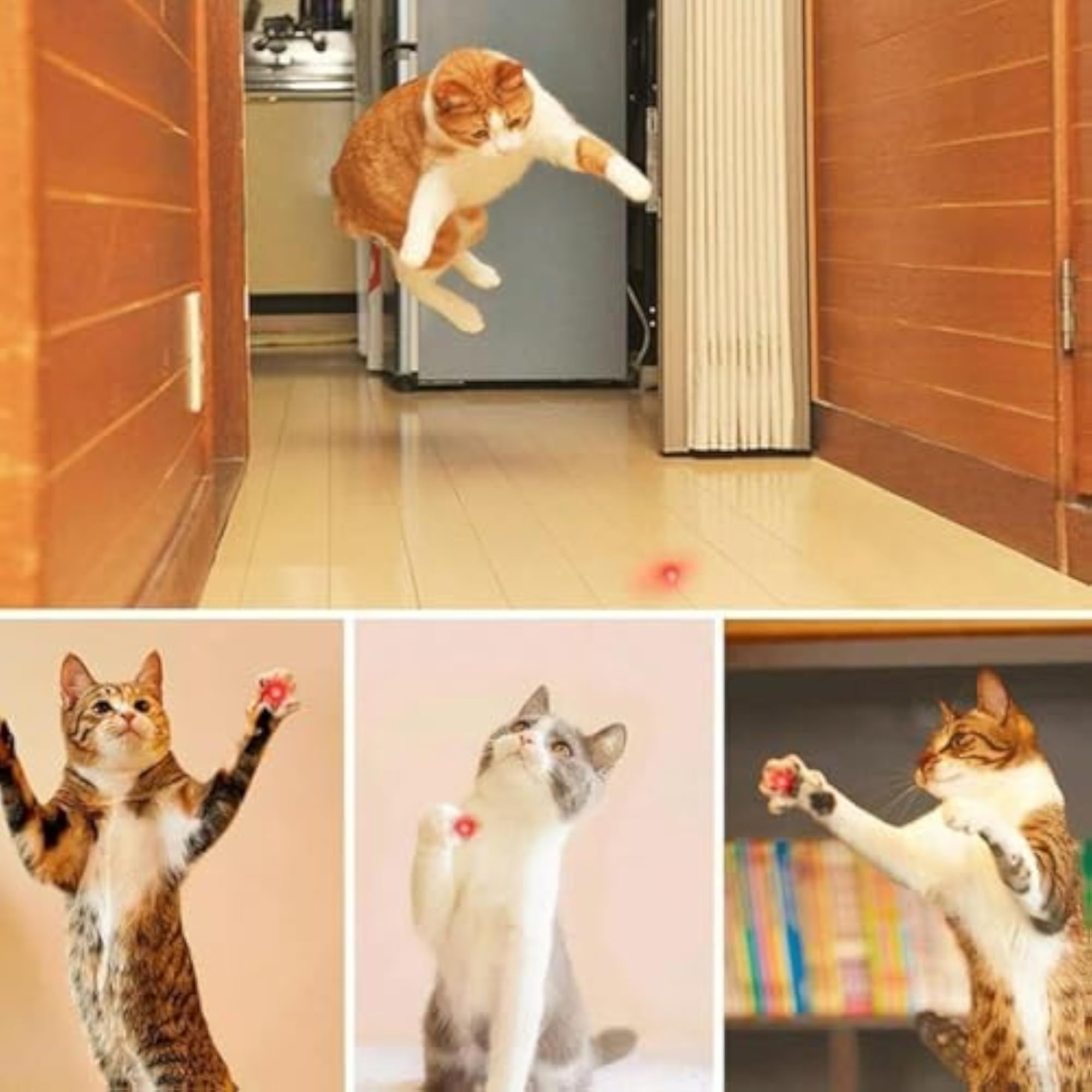 High Power Laser Pointer Pen - Rechargeable Handheld Light