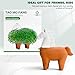 WOWMVP Funny Pet Planter for Chia Seed, Horse Shaped Decorative Pottery Planter, Easy to Do and Fun to Grow, Perfect for Home Decor, Terra Cotta Without Seeds