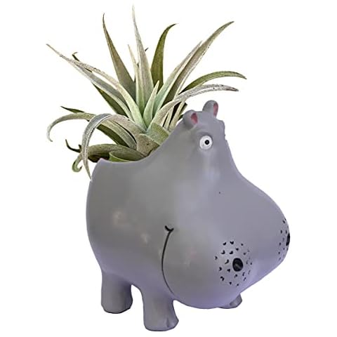 GFF Grass Flip Flops Animals Hippo Planters - 5H x 4W x 3.5D Inch Plant Pots for Succulents Flowers Herbs Houseplants Indoor Outdoor Live Plants Stand Garden Home Office Desk Kitchen Decor Cover