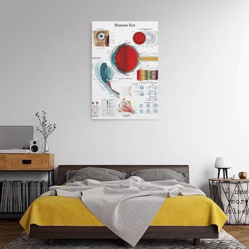 Human Eye tableau moderne - Solution décoration murale pour salon et chambre