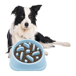 PTROUT Plastic Slow Feeder Dog Bowl, dog bowls Prevent Choking and Overeating for Medium & Small Dogs Puzzle Pet Healthy Feeding Bowls with Non-Slip Rubber Feet (Blue)