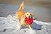 Hyper Pet Flippy Flopper Dog Frisbee Interactive Dog Toys [Flying Disc Fetch Toy Floats in Water & Safe on Teeth] (Colors Will Vary), Multicolor, 9