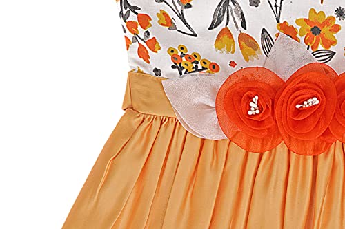Image of Funshine Girls Party Dress