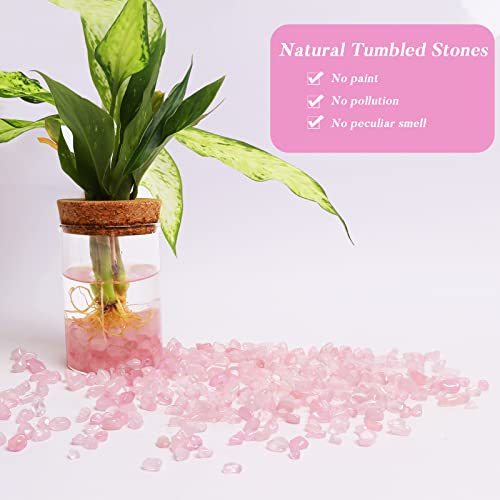 Image of QICQDRAM Dyeing Rose Quartz Crystal Chips Bulk 1 Lb Crystal Tumbled Stone Decorative Pebbles for Home Decoration & Fish Turtle Tank, Vase Filler, Plants Decor