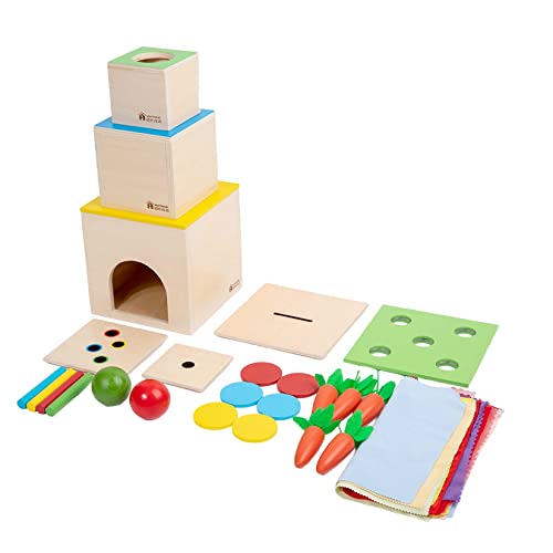Adena Montessori 6 in 1 Play Kit Toy- 3 Nesting & Stacking Boxes Object Permanence Drop Game Coin Box Carrot Harvest Tissue Box Sticks Matching Game for 6-12 Months 1 Year Old Toddlers 2 Year