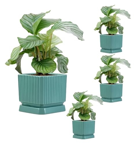 Maceta De Barro for Plantas,Juego De Maceta De Cerámica Cuadrada De 2/4 Maceta De Cerámica De 4,41 Pulgadas Con Orificios De Drenaje Y Platillo Maceta De Jardín Decorativa Moderna for Plantas De Inter