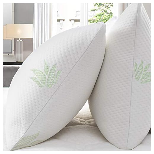 BedStory Almohadas Aloe Vera con Funda 42x70cm Pack 2 Almohada Viscoelastica Funda con Cremallera Lavable Conveniencia Almohada Antiácaros Esponja Rota Relleno de Almohadas de Hotel