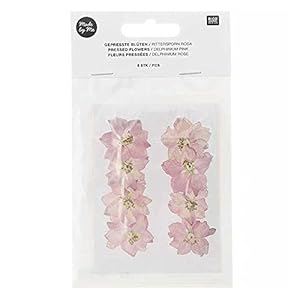 Rico Design Delphinium Rosa essiccati e pressati