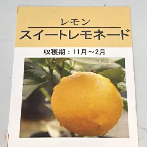 Amazon.co.jp: レモン スイートレモネード 樹高0.2m前後 9.0cmポット