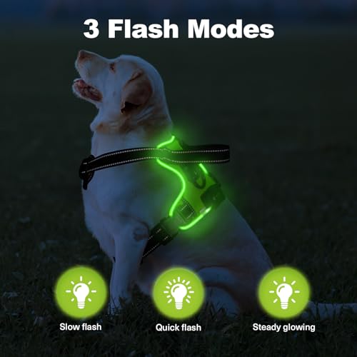 MASBRILL Leuchtgeschirr für Hunde Aufladbar, LED Hundegeschirr Verstellbar Reflektierende Brustgeschirr Beleuchtetes Hundegeschirr (Grün, XL)