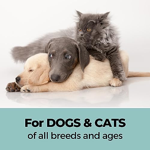 Image of Moe Puppy Xtra Nourish Medicated Dog & Cat | Anti-Itch Skin Relief | Herbal Dog Shampoo | Antifungal & Antibacterial | Gentle Formula of Dead Sea Salt & 3 Essential Oil & Nourishing Formula (300ml)