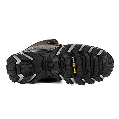 Bota Bull Terrier Fox Terrier Masculina