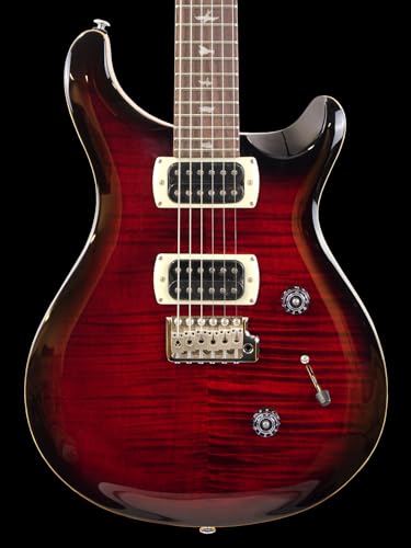 Paul Reed Smith(PRS) SE Custom 24 (Fire Red Burst)�G���L�M�^�[