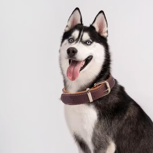 Hochbelastbares Reflektierendes Echtleder Hundehalsband, Verstellbares Weich Gepolstertes Halsband für Mittelgroße, Große und Extra Große XL-Hunderassen(Braun M)