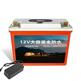 FREEDOH Batteria al Litio ad Alta capacità da 12 V, 20 Ah, 30 Ah, 40 Ah, 50 Ah, 80 Ah, Adatta per Alimentazione Esterna, luci di Emergenza ad Alta Potenza,12v20ah
