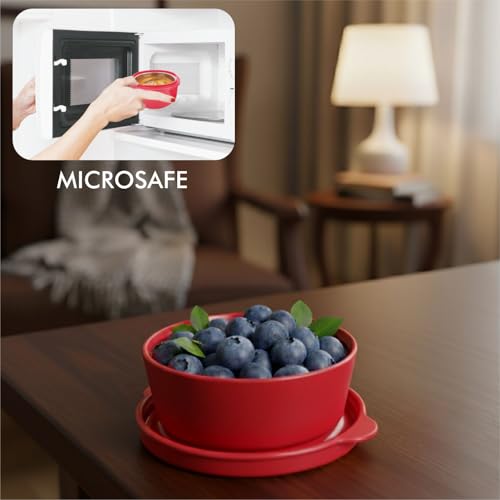 Image of SignoraWare Monarch Mini Mate Stainless Steel Container | Airtight & Leakproof | Small Storage Box for Spices, Chutney, Snacks | Ideal for Office, School & Travel (80ml | Red)