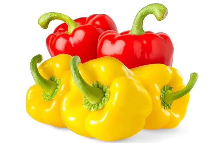 Combo Pack of Capsicum Seeds of 2 Colours(Yellow & Red) Quality Seeds Big Size and Vibrant Colour Kitchen/Terrace Garden (B0C71BZW9B) Amazon Price History, Amazon Price Tracker