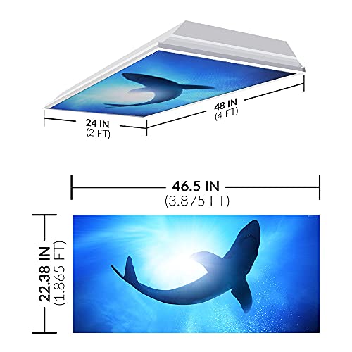 Image of Fluorescent Light Cover for Classroom Ceiling Lights - Premium Backlit Film Insert 2x4 (22.38 inchx46.5 inch) Florescent Fixture (Pack of 1) School, Office, Sensory, Improve Focus, Eliminate Headaches - Shark