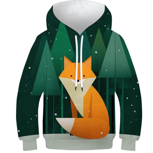 Pulls garçons filles à capuche renard 3D pour éviter les irritations de la peau
