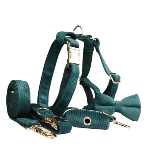 Ensemble laisse et harnais doux en velours pour moments complices - 2