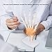 Hand Joint Model, High Strength Life Size Hand Model PVC Teaching Tool for Learning