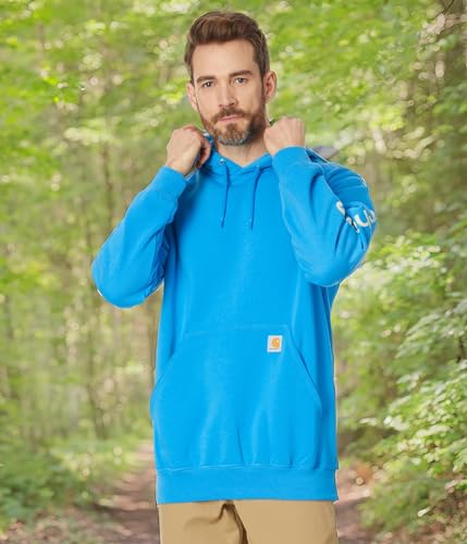 Image of Carhartt Men's Iconic K288 Logo Sweatshirt Closeout