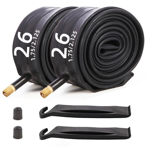 Heavy Duty Bike Tubes 2PCS 12