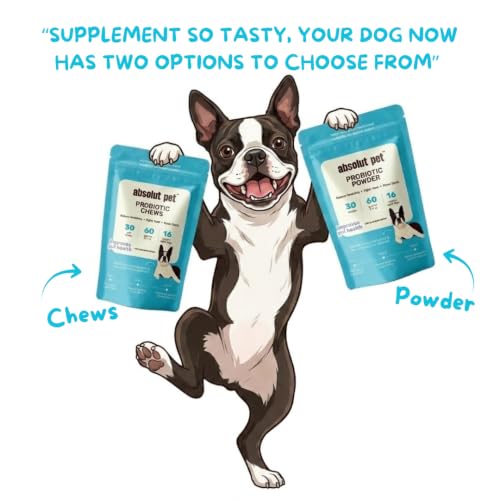 Image of Absolut Pet Probiotic Gut Health Powder for Dogs | 90 Servings