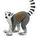 Safari Ltd. Ring-Tailed Lemur Figurine - Lifelike 4