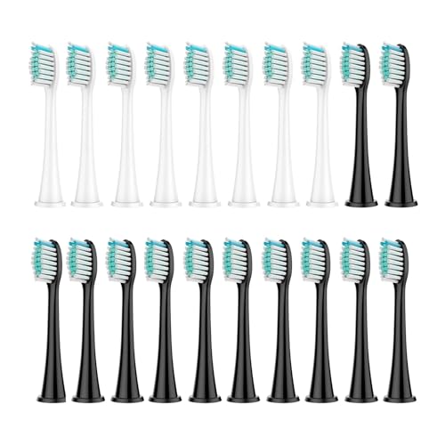 puVw??bh 8B݊܂tBbvX Sonicare DiamondClean HX3/HX6/HX9V[YduVwbh HX6064ɑΉB(8 White 12 Black)