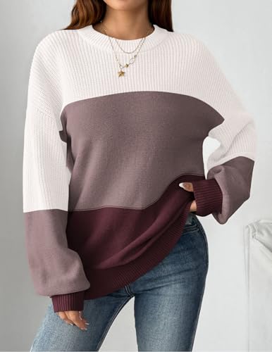 Zeagoo Womens Color Block Sweaters Plus Size Fall 2025 Crew Neck Chunky Sweater for Women - image 2