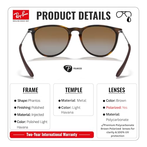 Image of Ray-Ban RB4171 ERIKA CLASSIC Phantos Shaped Sunglasses for Women with Official RAYBAN Eyewear Kit