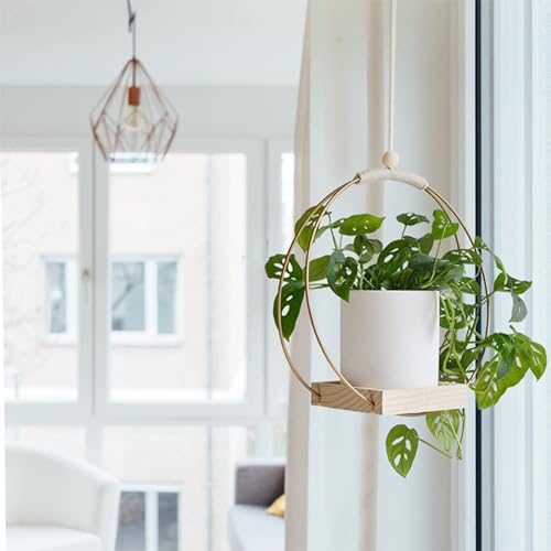 Cabides para vasos de plantas, suporte para plantas suspensas no teto, prateleira de exposição com e
