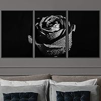 3 Piece Framed Canvas Wall Art Black and White Botanical Canvas Prints Home Artwork Decoration for Living Room,Bedroom - 16