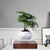 Suspensed Potted Plants Creative Ornaments Office Decoration Flower Pots Creative design 360 default 176; roterende…