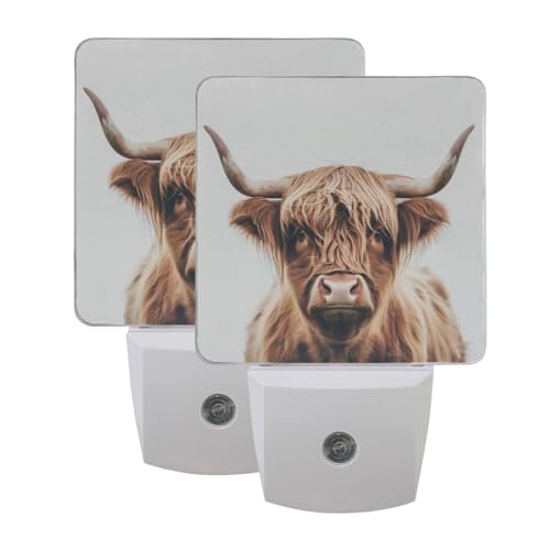 Image of Brown Highland Cattle Cow Night Lights 2 Pack Plug-in Wall Led Nightlight Auto Dusk-to-Dawn Sensor Lamps for Bedroom Kitchen Bathroom